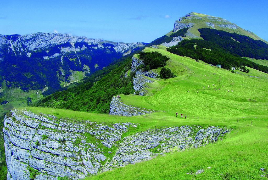 Roulottes Au Pied Du Vercors سان-جان-أون-رويان المظهر الخارجي الصورة
